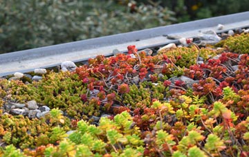 the cost of Cheddleton green roof installation