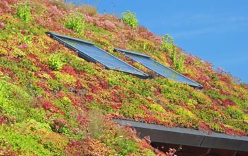 Cheddleton living roof systems