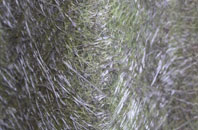 Cheddleton fibreglass roof work